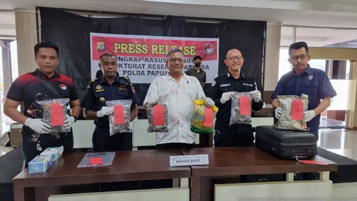 L'effort d'échappement de trafiquants de drogue à Manokwari a échoué, et 2,8% de la marijuana ont été saisi par la police