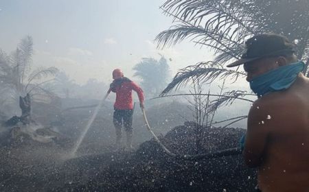 Sorot Titik Api di Kalteng, 19 Posko Rawan Karhutla Aktif 24 Selama 90 Hari