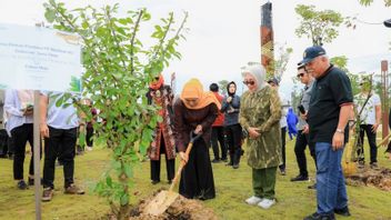 Khofifah Tanam Pohon Maja di IKN Simbol Jatim Gerbang Baru Nusantara
