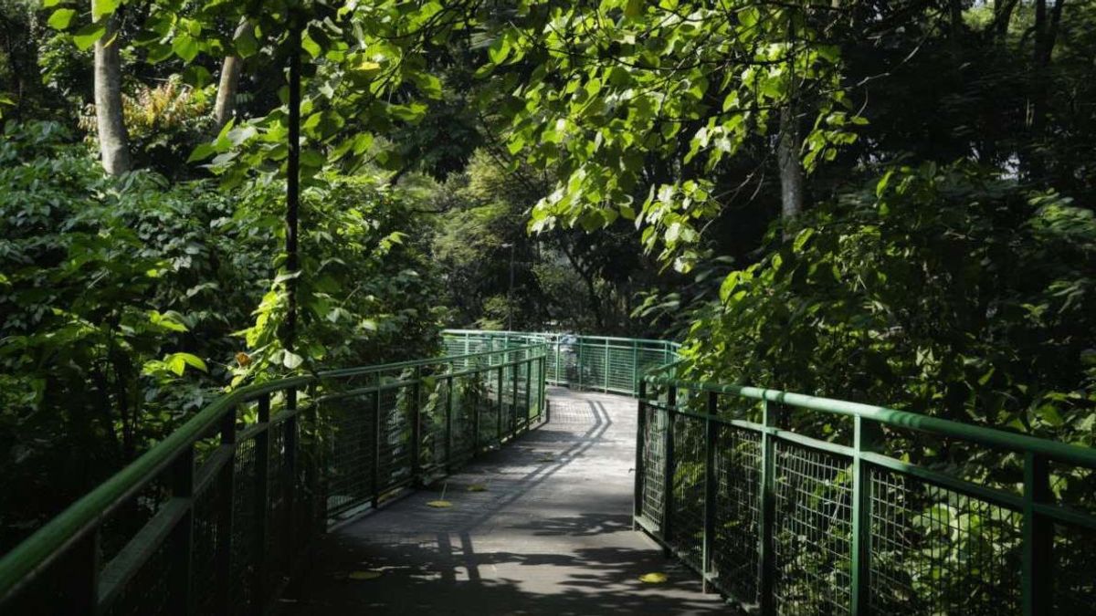 Hidden Gem di Kota Bandung yang Cocok Didatangi saat Libur Nataru