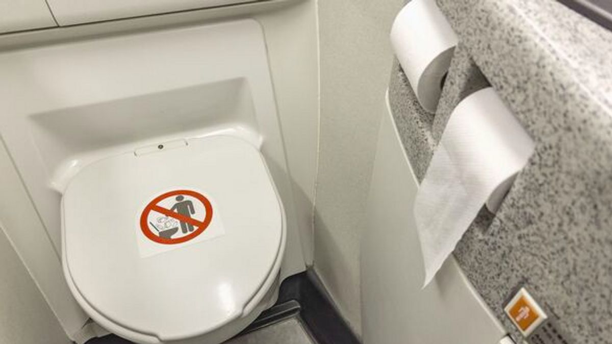 飛行機に乗っている間はトイレのミュートを使用しないでください、この客室乗務員はその理由を明らかにします