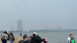 Kembali Unjuk Rasa, Aksi BEM UI Kali Ini Kumpulkan Sampah di Pesisir Pantai Jakarta Utara