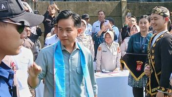 纪伯伦副总统鼓励通过同时作物运动增加国家玉米产量
