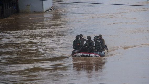 Le Rétrécissement Des Zones Forestières Au Cours Des 10 Dernières Années Augmente Le Risque D’inondation Dans Le Kalimantan Du Sud 