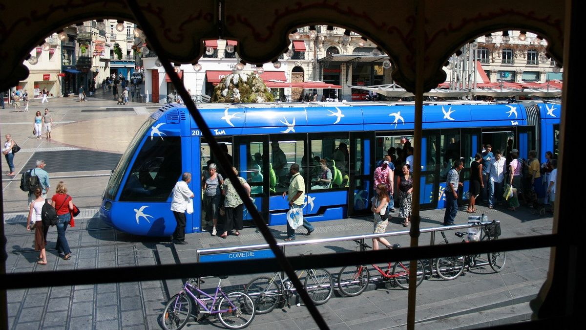 モンペリエは住民の公共交通機関を無料で提供し、永住権観光客は有料です
