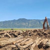SK Menhut Landasi Penggunaan Kayu Hanyutan Demi Pemulihan Pascabencana