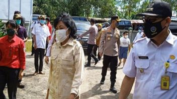 Sebanyak 8 Petahana Kades Tumbang di Pilkades Serentak Pulang Pisau, Kalimantan Tengah