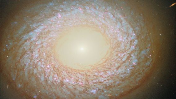 ハッブル望遠鏡はNGC 2775の肖像画を共有し、最も混乱した銀河