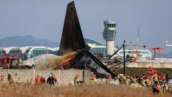 これは、済州航空機が車輪なしで着陸して爆発する前に起こったことです