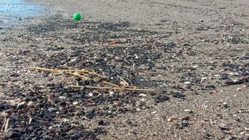 班达亚齐的乌利勒海滩被煤泄漏污染