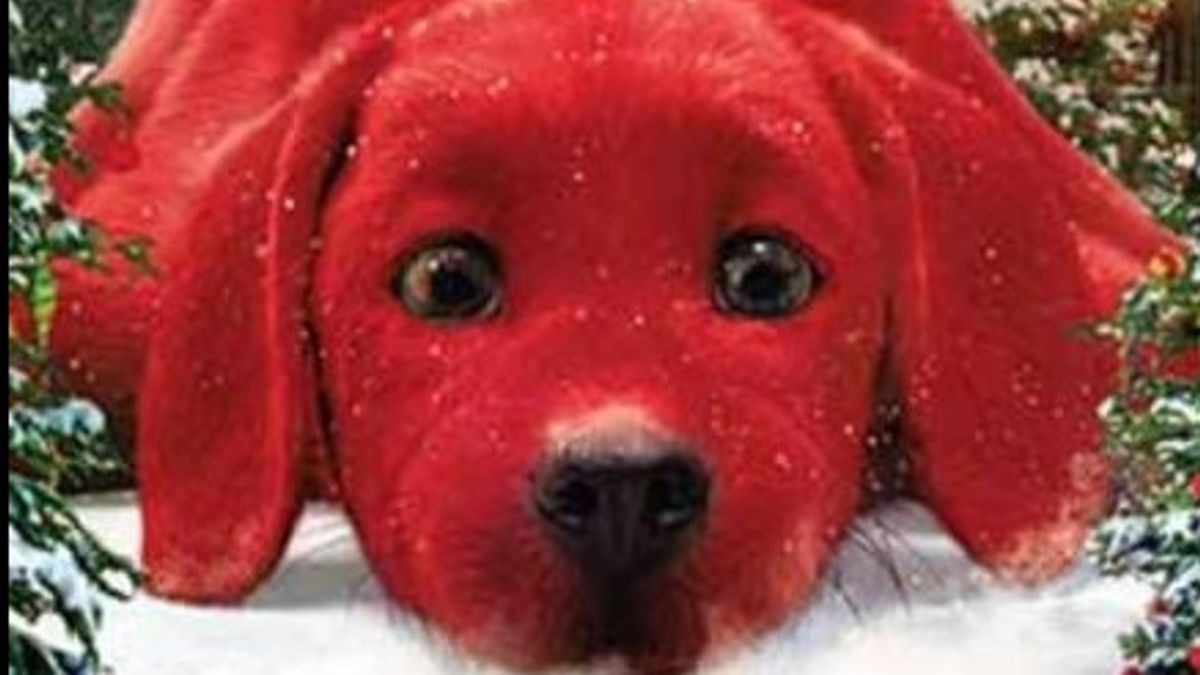Sinopsis Clifford the Big Red Dog, Melawan Bully dengan Kebesaran Hati