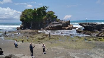 バリ島の観光マネージャーは、外国人観光客のための8日間の検疫を検討負担