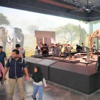 Libur Lebaran 2026, 551 Ribu Orang Kunjungi Museum dan Cagar Budaya
