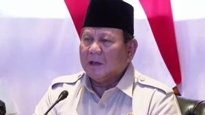 Prabowo: Negara Hadir hingga Dusun Lewat Pembangunan Jembatan