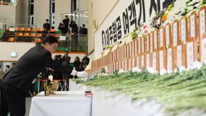 The Investigation Team Successfully Identify 200 Victims Of The Jeju Air Tragedy