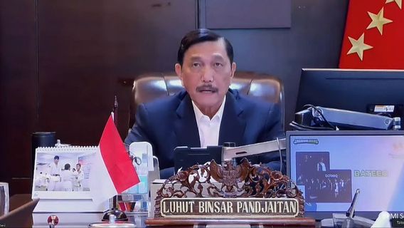 Luhut Minta Bantuan Singapura dan China untuk Tangani COVID-19