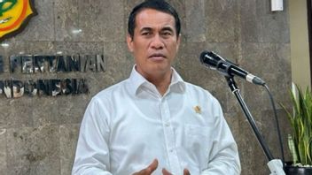 27,000名千禧一代成为阿姆兰农业部长的农民:月收入2000万印尼盾