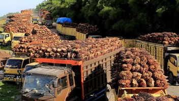 移交13.2万亿印尼盾的CPO案件没收金,众议院第三委员会鼓励其他腐败者资产布鲁大通