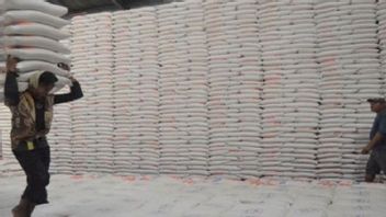 Fill In The Rice Stock 1.2 Million Tons: 500 Thousand From Imports For January-February 2023, 500 Thousand Others Absorbed From Farmers In March During The Grand Panen