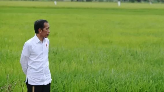 Bantah Jokowi Masuk Daftar Tokoh Terkorup 2024 Framing Jahat, Pengamat: Reputasi OCCRP Taruhannya