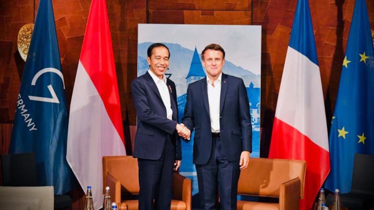 Jokowi Bahas Penyelesaian Damai Ukraina dengan Presiden Prancis Emmanuel Macron