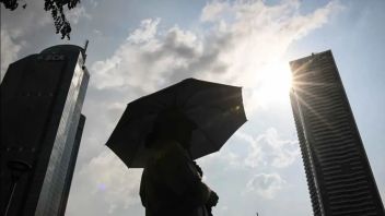 Jakarta Hadapi Cuaca Panas Ekstrem, Pramono Lanjutkan Modifikasi Cuaca Hingga Tambah Penanaman Pohon 