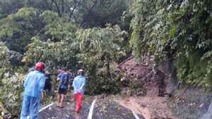 12 Petugas Dikerahkan Buka Lagi Jalan Selatan Cianjur Sempat Tertutup Pohon Tumbang