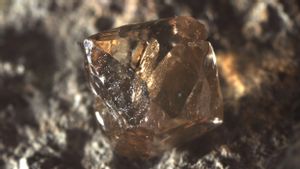 Temukan Salah Satu Berlian Terbesar dalam Sejarah Pertambangan, Pria Ini Jadi Miliarder Dadakan