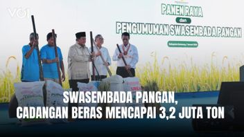 Le président Prabowo est fier, l'Indonésie peut rétablir l'autosuffisance alimentaire en un an