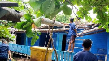 Laut岛的一名居民的房子因强风而被一棵树损坏