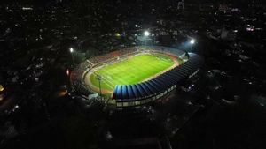 Prediksi Liga 1 2023/2024 Borneo FC Vs Persib Bandung: Waspada Tergeser