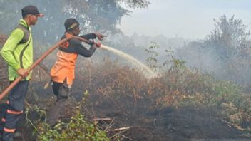 BNPB Hadang Api di Nagan Raya, 2 Mesin Pompa Dikerahkan Lawan Karhutla