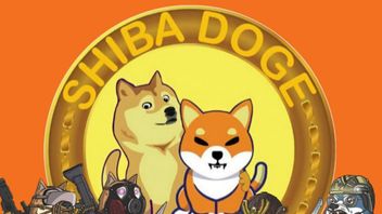 Not Shiba Inu Or Dogecoin, This Is The Most Bought Crypto By Whale Ethereum, SHIBDOGE