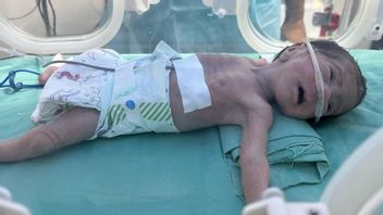 ガザで飢餓による子どもの死は増え続けている