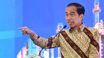 The Palace Emphasizes Jokowi Will Not Endorse Anyone In The 2024 Presidential Election