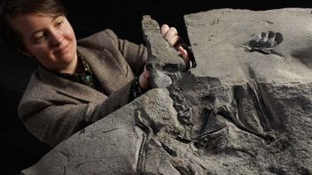 Reptil dengan Sayap 2,5 Meter dan Hidup 170 Juta Tahun Lalu, Pterosaurus Berhasil Ditemukan
