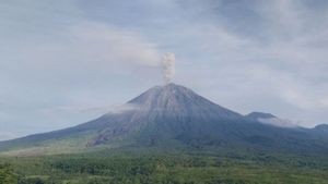 Mount Semeru 5 Times Eruption with Eruption Height up to 1,000 Meters