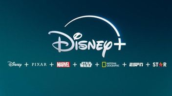 迪士尼 流媒体服务将从6月起禁止密码共享