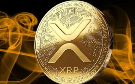 Tambah Lagi Perusahaan Besar Dukung Ripple vs SEC, Paradigm Ajukan Amicus Curiae