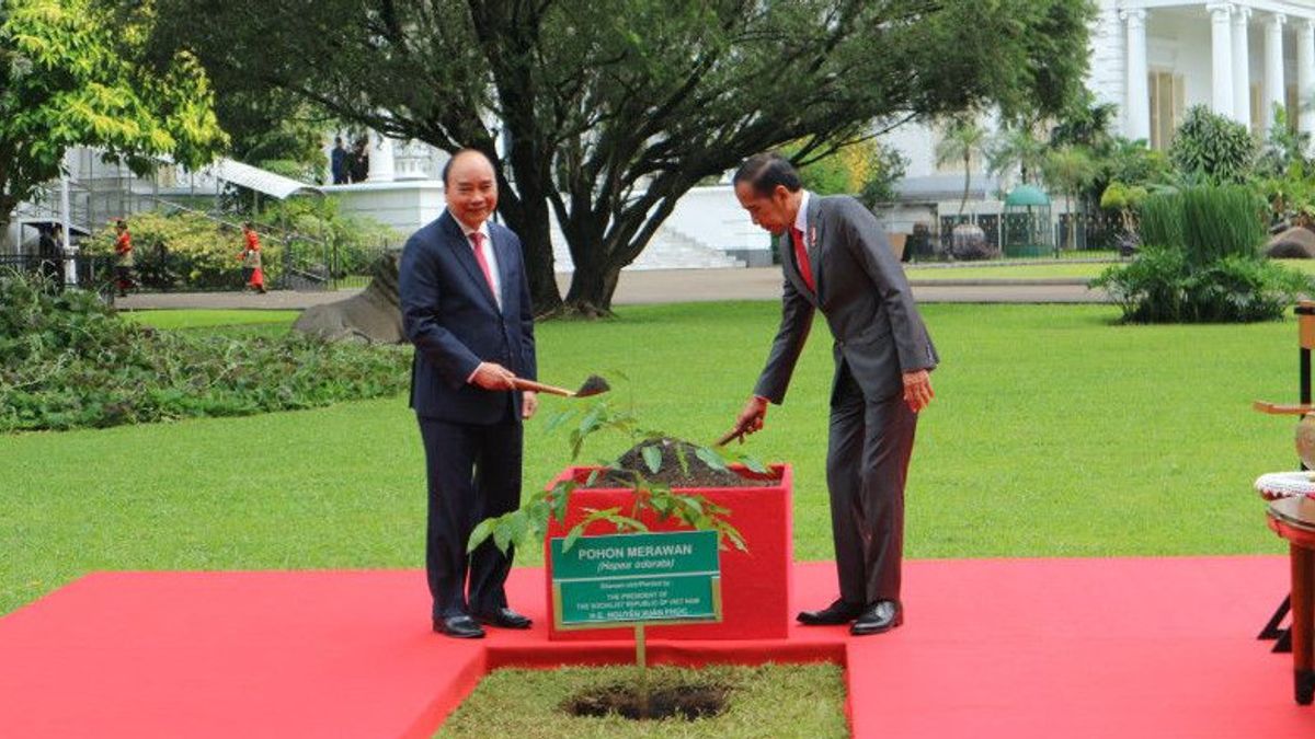 ベトナムのグエン・スアン・フック大統領がジョコウィと一緒にメラワンの木を植えた後、最初にインドネシアへ