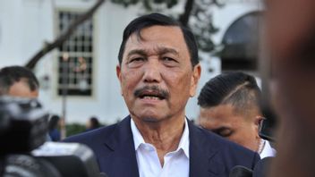 Minta Pengadaan Oksigen Dipercepat, Luhut: Kita Bermain Dengan Waktu