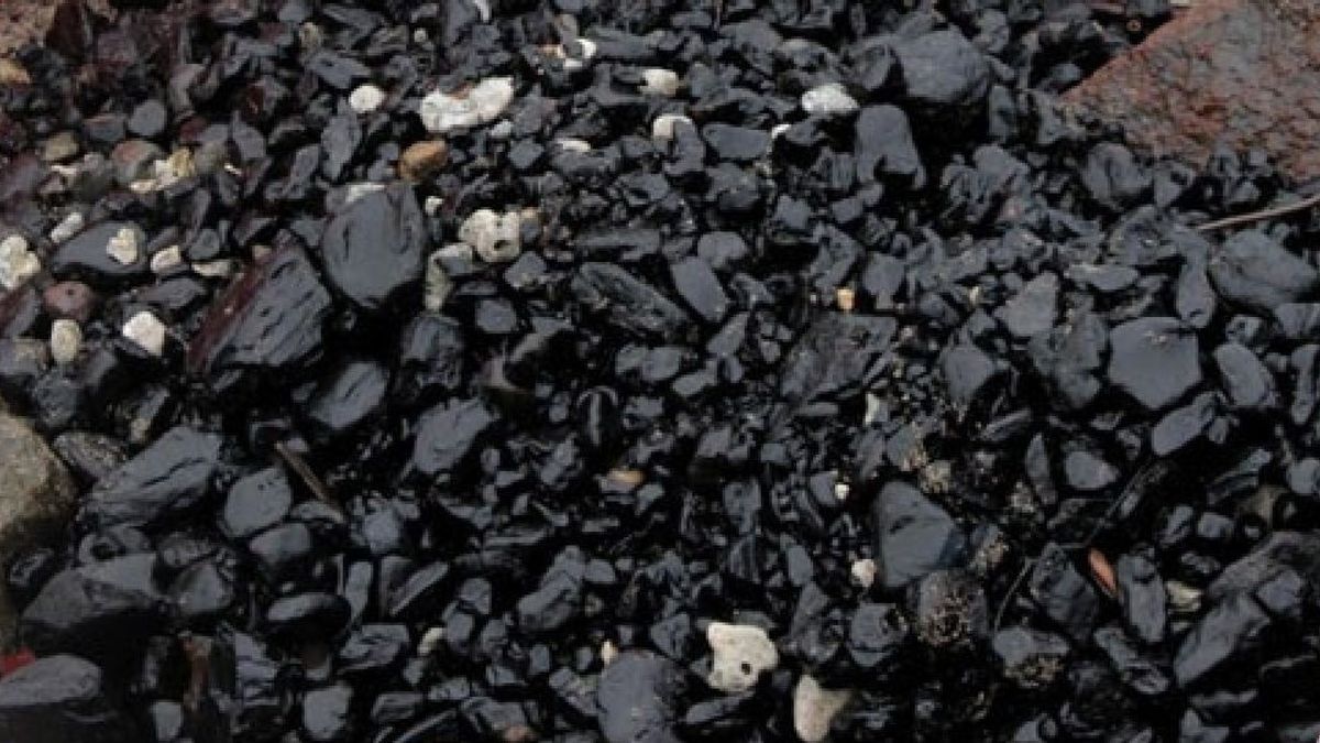 RMKE Ensures World Oil Price Increase Doesn't Affect Coal Sales