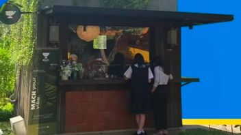 Healthy Culinary Innovation Inspired By Japanese Culture