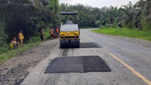 Anggaran untuk Perbaikan Jalan dan Jembatan Tak Ada, Menteri PU: Kami Masih Peninjauan