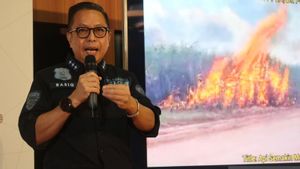 KLHK Affirms Tebu Harvest Through Burns Including Illegal Actions