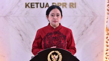 Puan Kasih Dorongan Kuat Generasi Muda untuk Jangan Absen di Pemilu 2024