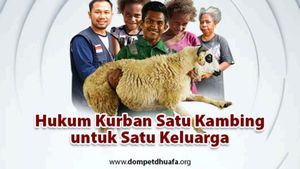 Hanya dengan 1 Jutaan, Kurban Kambing Boleh untuk Satu Keluarga   