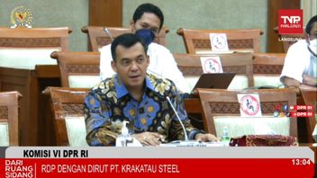 Back In Meeting With DPR, Silmy Karim Talks About Positive Performance Of Krakatau Steel: Q1-2022 Profits Of IDR 258 Billion