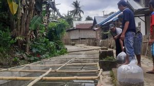 Tingkatkan Perekonomian, Masyarakat Desa Dusun Sawah di Bengkulu Budidaya Ikan Manfaatkan Saluran Irigasi