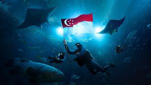 Keseruan Jelajahi Konservasi Laut Lewat Fitur Augmented dan Virtual Reality